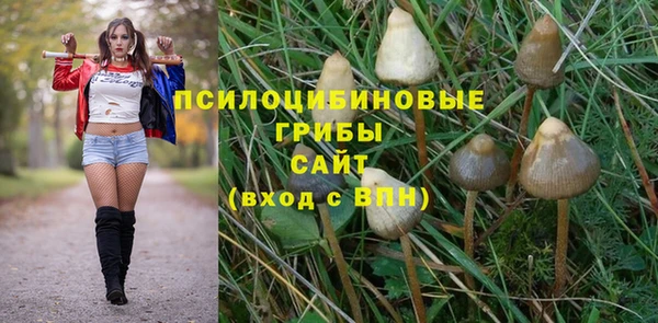 ешки Новосибирск