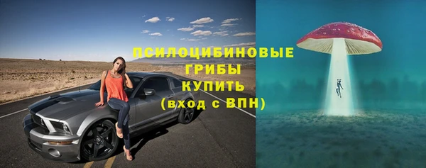 ешки Новосибирск
