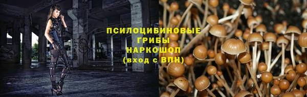 ешки Новосибирск