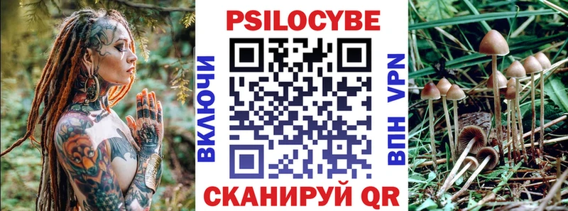 Псилоцибиновые грибы Cubensis  Купить  Лихославль 
